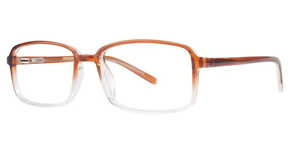 Stetson S328 Eyeglasses - Demi Black - view 5
